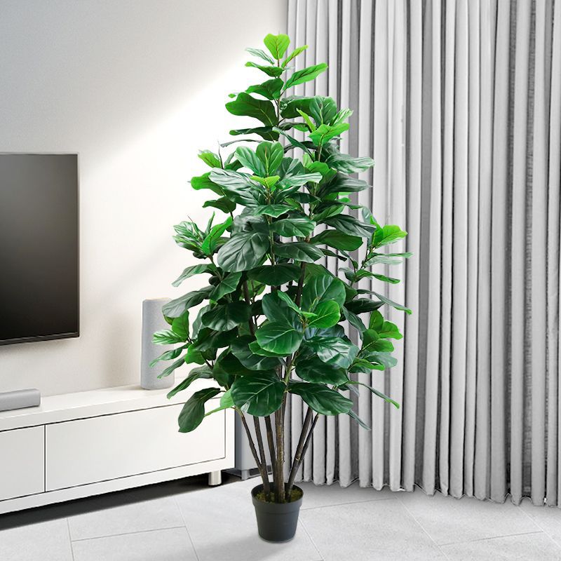 Ficus Lyrata Tree - 35-150cm Tropical Tree Large Fake Ficus