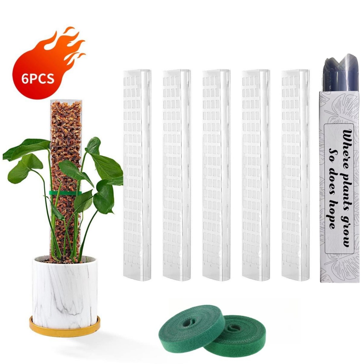 Moss Poles Plants Plant Suppor - Echeveria Succulent 评论和价格