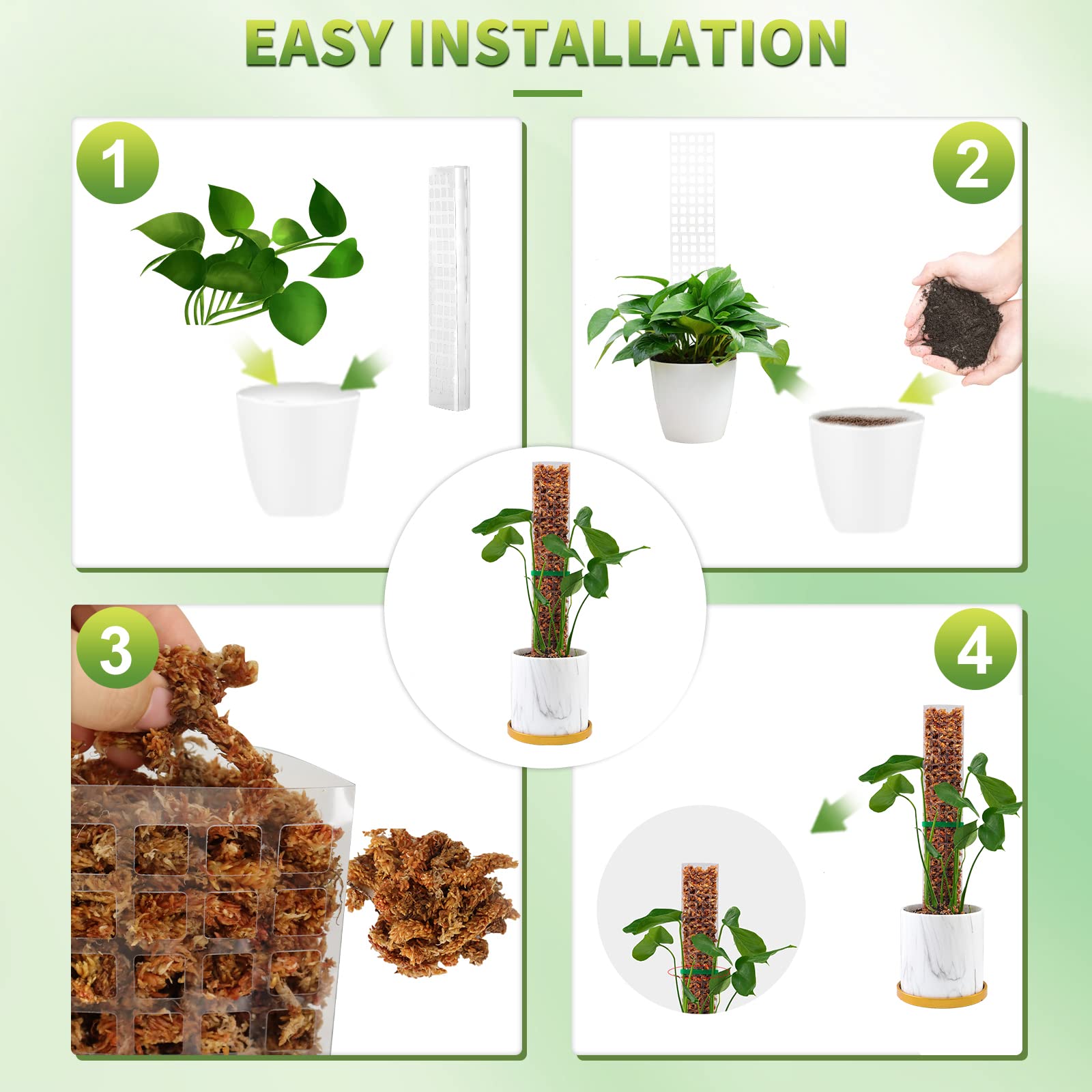 Moss Poles Plants Plant Suppor - Echeveria Succulent 评论和价格