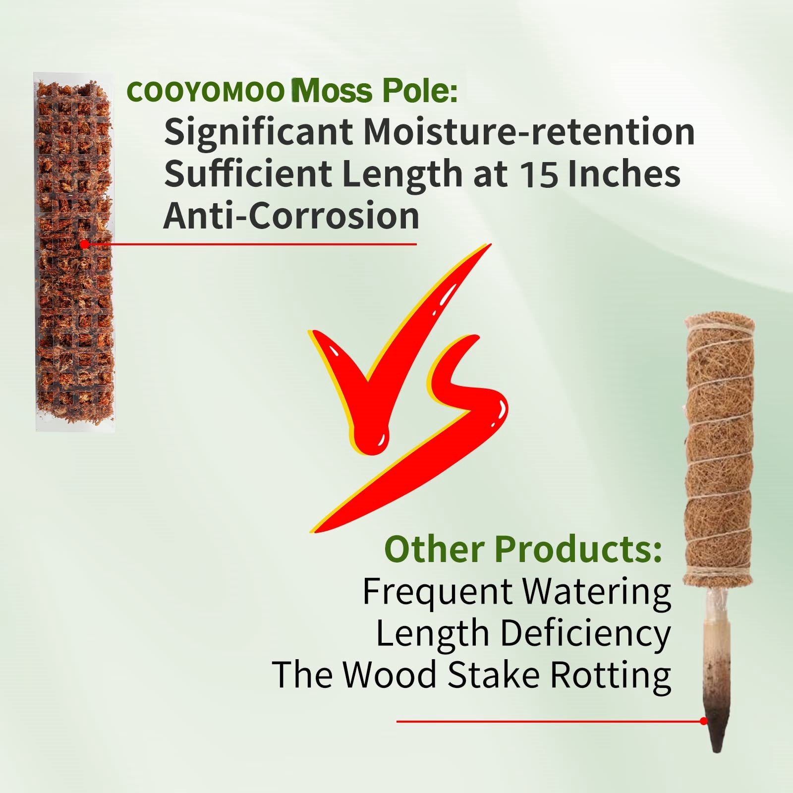 Moss Poles Plants Plant Suppor - Echeveria Succulent 评论和价格