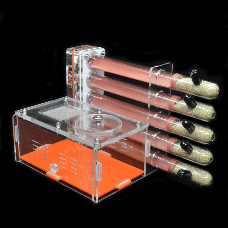 DIY Acrylic Ant Farm 5 pcs 18- - Begonia Rex 评论和价格