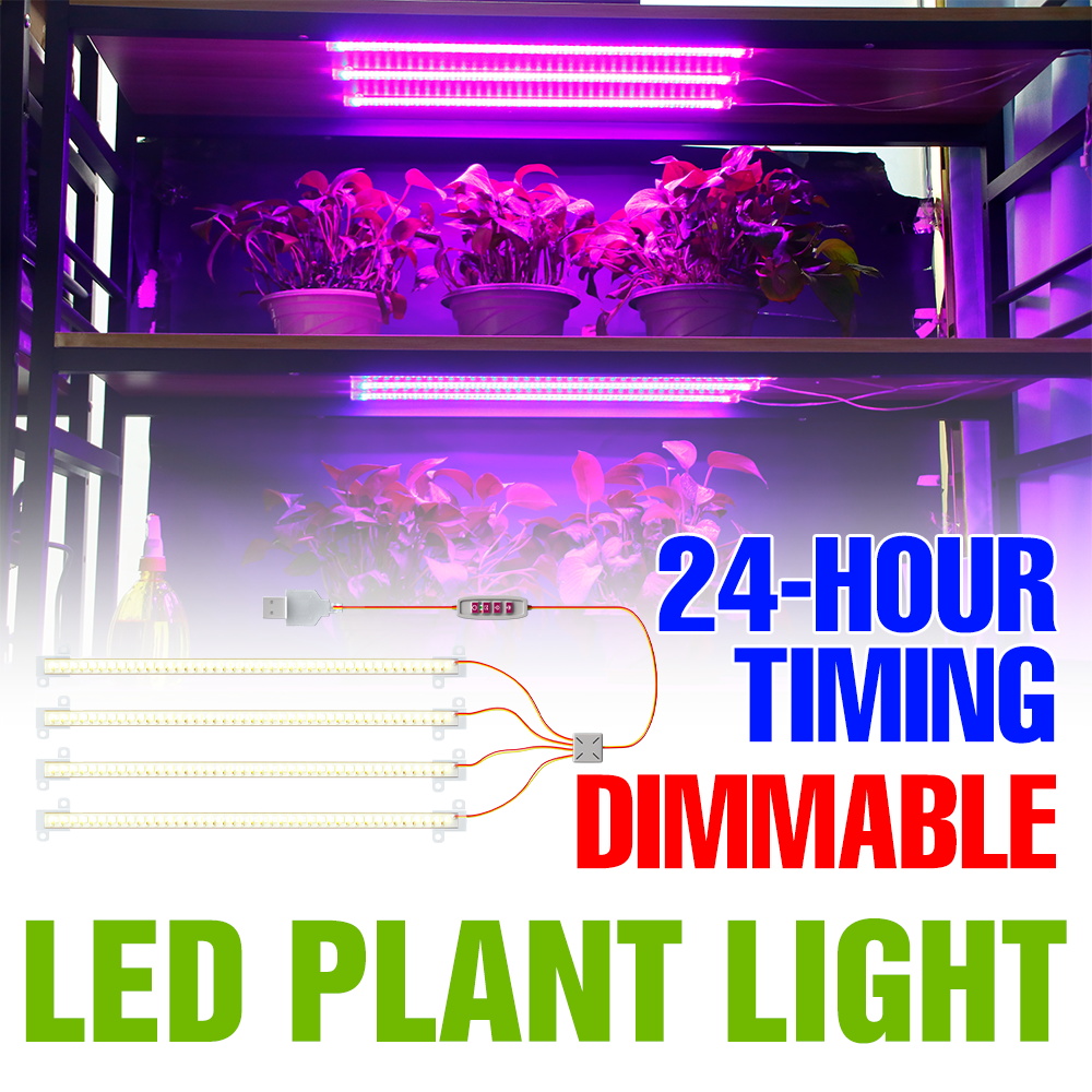 LED Indoor Plant Light Bar USB - Echeveria Succulent 评论和价格