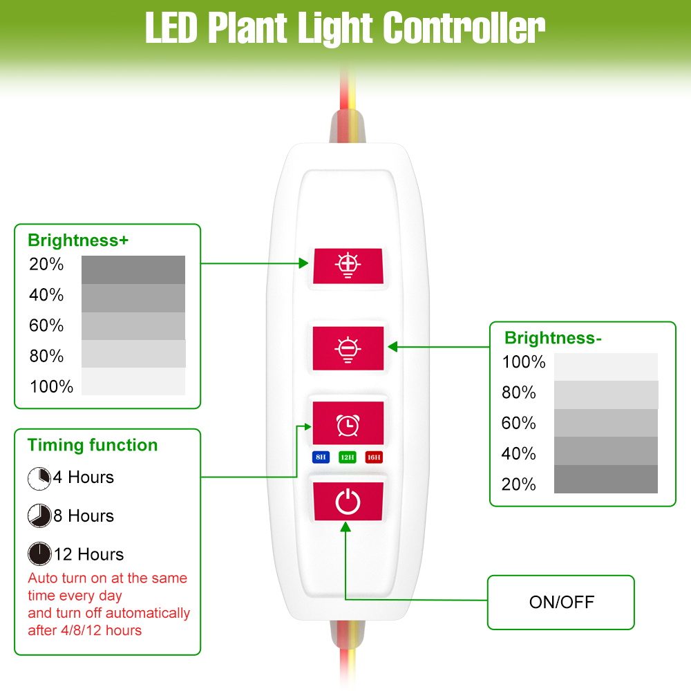 LED Indoor Plant Light Bar USB - Echeveria Succulent 评论和价格