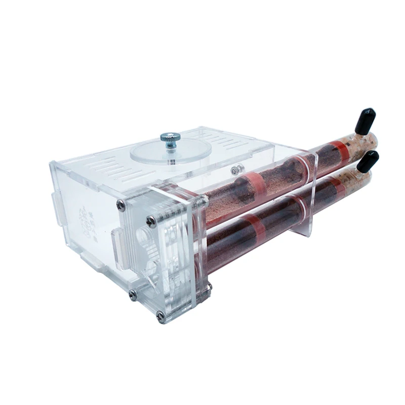 DIY Ant Farm 2 pcs 18-180mm Gy - Begonia Rex 评论和价格