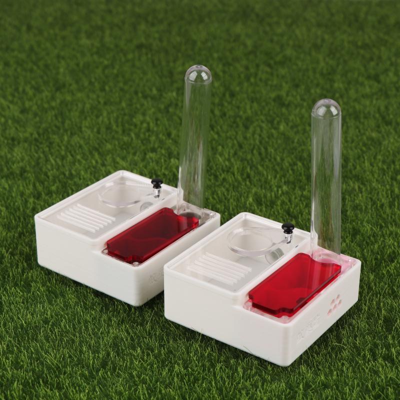 1Pcs Ant Farm Queen Ant's Nest - Begonia Rex 评论和价格