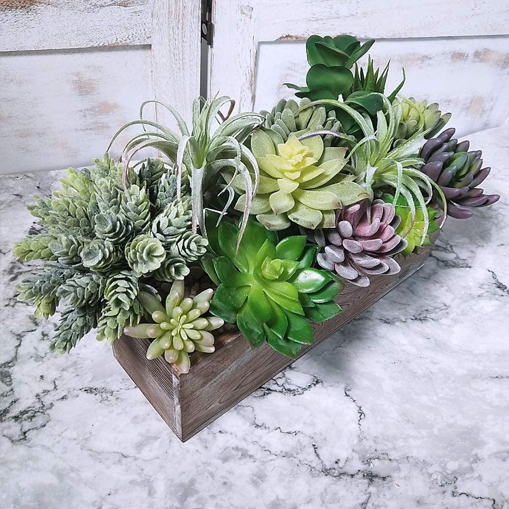 15 Pack Assorted Artificial Su - Echeveria Succulent 评论和价格