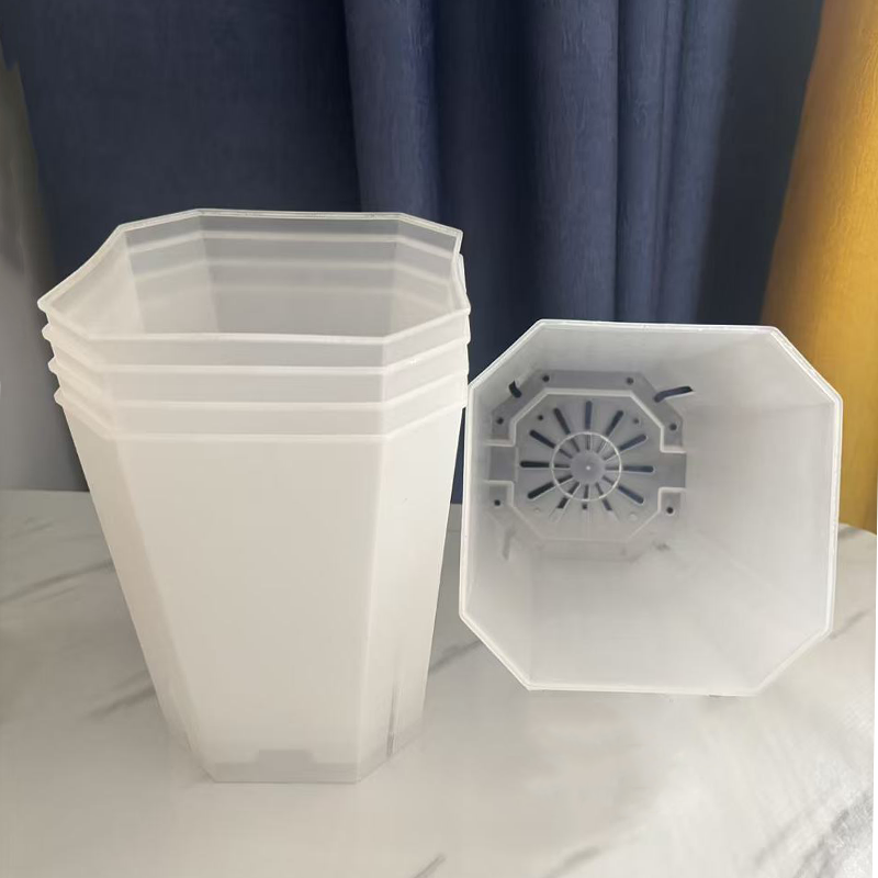5PCS Transparent Flowerpot 15c - Echeveria Succulent 评论和价格