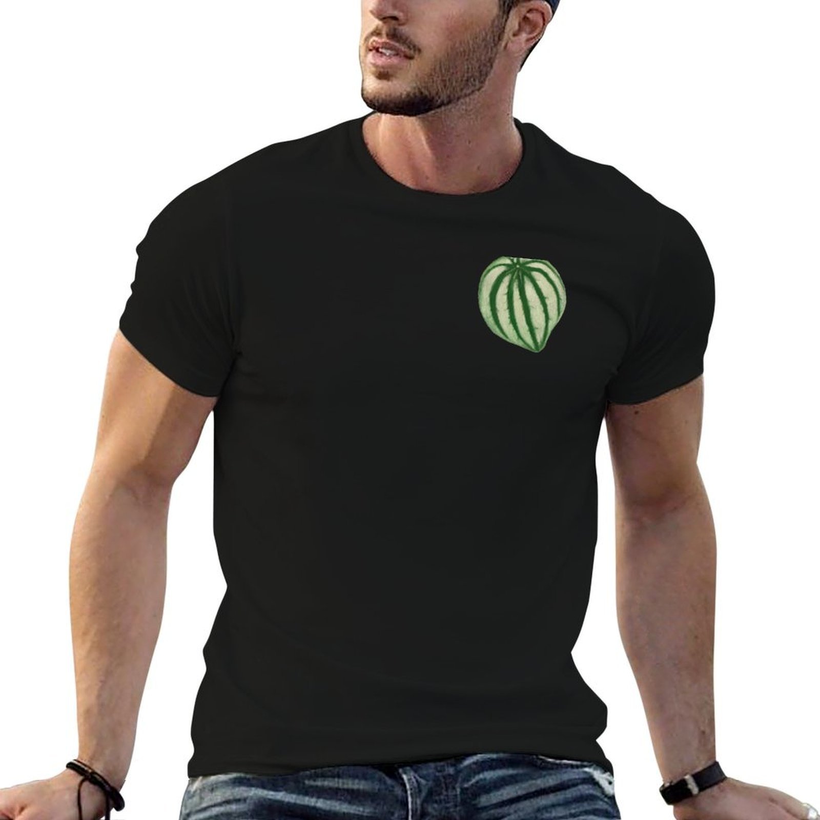 Watermelon Peperomia T-Shirt D - Peperomia Watermelon 评论和价格