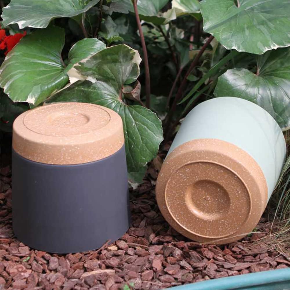 Plant POTS, lightweight Large  - Aloe Vera Pot 评论和价格