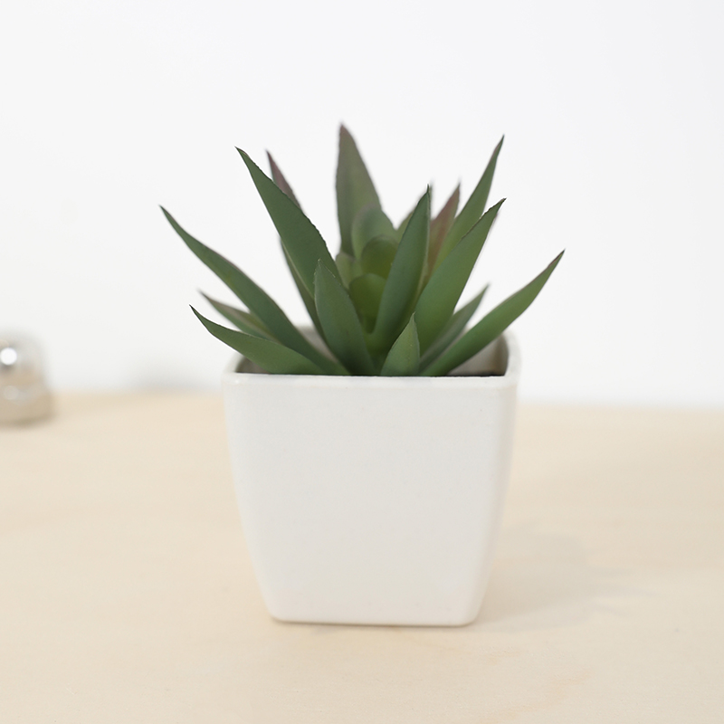 Mini Artificial Succulent Fair - Echeveria Succulent 评论和价格