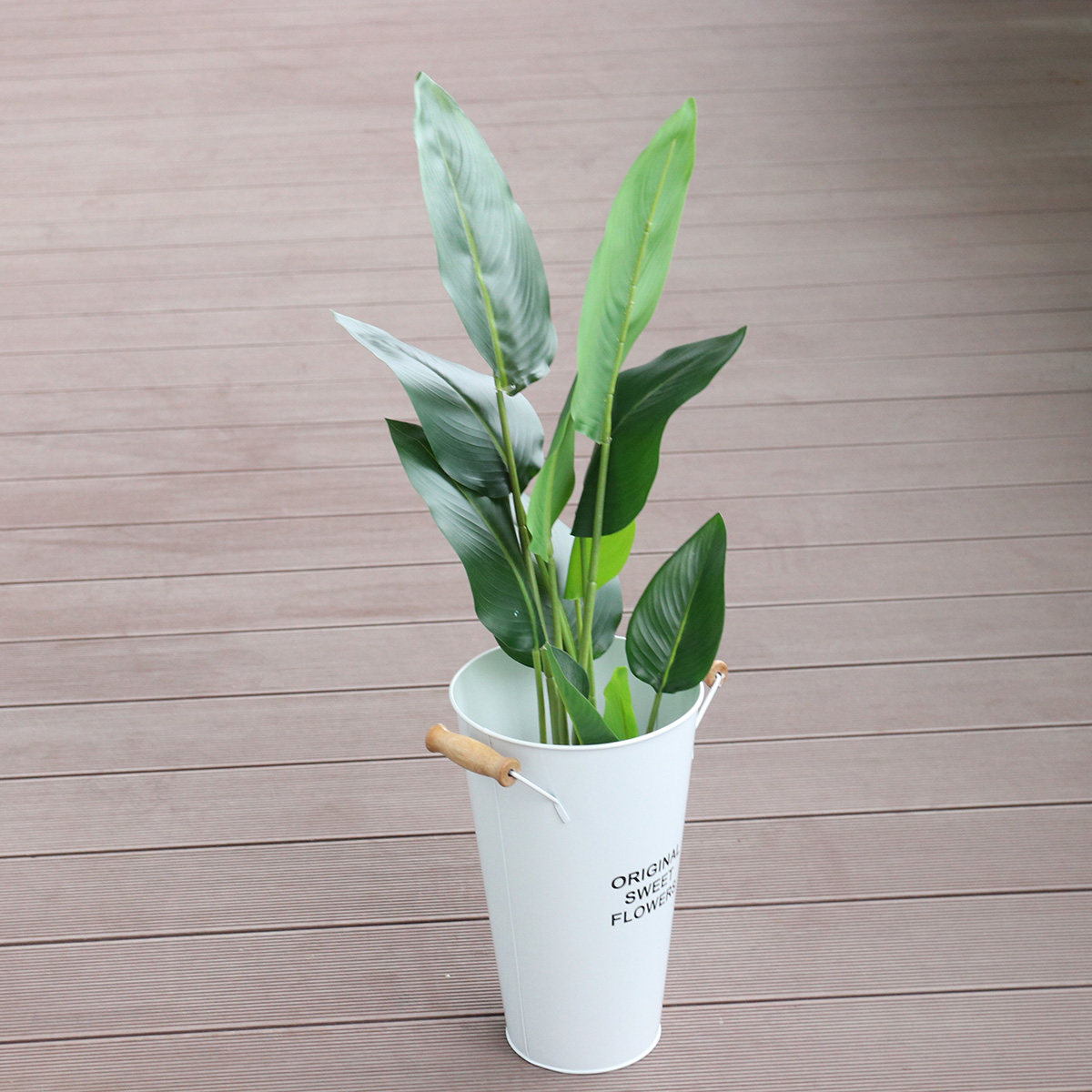 Wrought Iron Flower Vase Deskt - Aloe Vera Pot 评论和价格